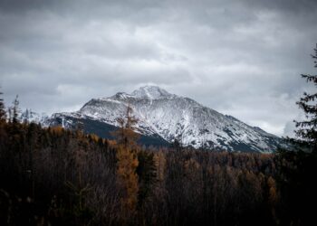 a snow covered mountain with trees in the foreground