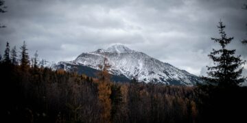 a snow covered mountain with trees in the foreground