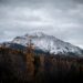 a snow covered mountain with trees in the foreground