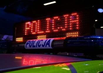 a close up of a police car sign